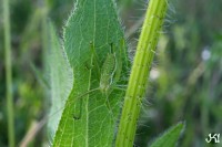 /album/fotogalerie/jk-5556-jpg/